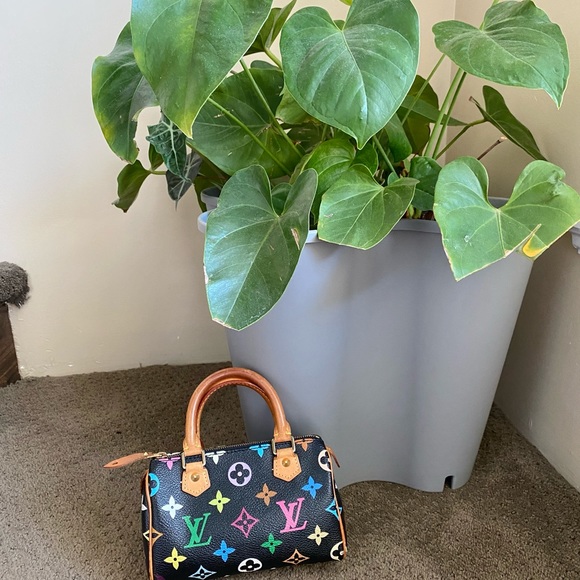 SOLD on IG - Speedy HL multicolour - Picture 14 of 16